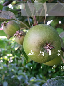 微粒貸客服說3到5個(gè)工作日聯(lián)系協(xié)商-微粒貸幾天打電話