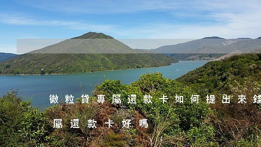 微粒貸專屬還款卡如何提出來錢-微粒貸專屬還款卡好嗎