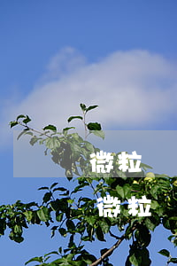微粒貸幾天逾期多久會(huì)被起訴-微粒貸逾期多少會(huì)起訴