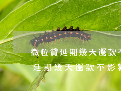 微粒貸延期幾天還款不影響信用度-微粒貸延期幾天還款不影響信用度了