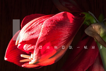微粒貸延期還款一般延多長時間-