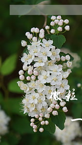 微粒貸延遲一天還款有什么影響-微粒貸延遲一天還款有什么影響嗎