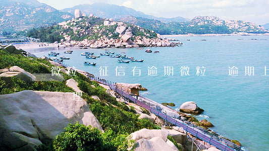 微粒貸征信有逾期(微粒貸逾期上征信了怎么處理)