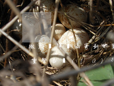 微粒貸律師函寄到哪里(微粒貸嚴(yán)重警告發(fā)律師函)