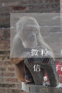 微粒貸微信沒有登錄可以還款嗎-微粒貸微信沒有登錄可以還款嗎安全嗎