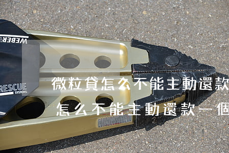 微粒貸怎么不能主動還款一個月的-微粒貸怎么不能主動還款一個月的利息