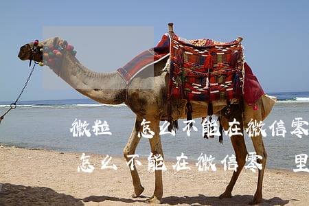微粒貸怎么不能在微信零錢里還款-微粒貸怎么不能在微信零錢里還款了