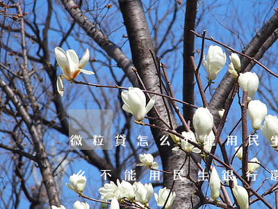 微粒貸怎么不能用民生銀行還款-微粒貸怎么不能用民生銀行還款了呢