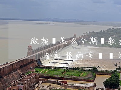 微粒貸怎么分期還款教程，「微粒貸分期還款」全面指南：步驟詳解與注意事項