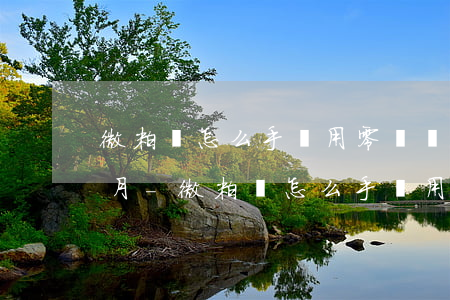 微粒貸怎么手動用零錢還款當(dāng)月-微粒貸怎么手動用零錢還款當(dāng)月還款