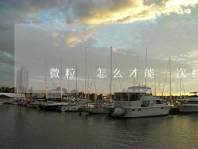 微粒貸怎么才能一次性全額還款-