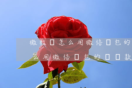 微粒貸怎么用微信錢包的錢還款-微粒貸怎么用微信錢包的錢還款呢