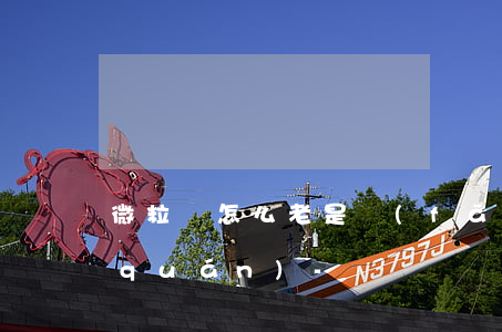 微粒貸怎么老是發(fā)還款簽約授權(quán)-
