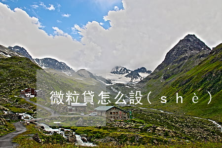 微粒貸怎么設(shè)定自動還款的賬戶-