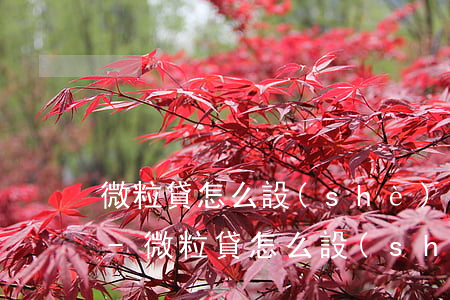 微粒貸怎么設(shè)置自動還款銀行卡-微粒貸怎么設(shè)置自動還款銀行卡號