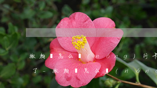 微粒貸怎么農(nóng)行卡提前還款不了-微粒貸怎么農(nóng)行卡提前還款不了呢