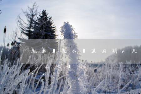 微粒貸怎么開通逾期2天(微粒貸逾期一星期了怎么辦)