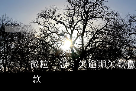 微粒貸想還欠逾期欠款(微粒貸想還欠逾期欠款)