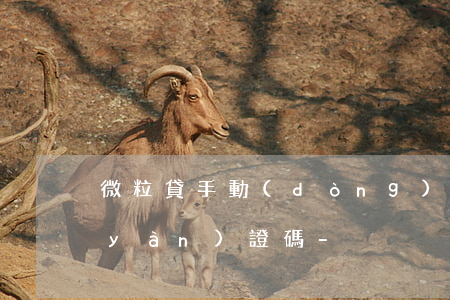 微粒貸手動(dòng)還款本期還要驗(yàn)證碼-