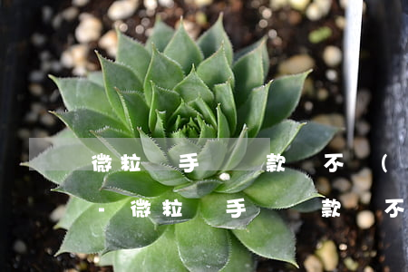 微粒貸手動還款還不進(jìn)去怎么辦-微粒貸手動還款還不進(jìn)去怎么辦呢