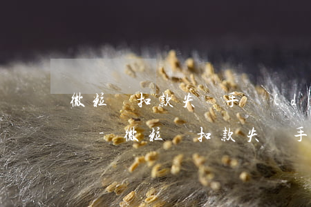 微粒貸扣款失敗手動(dòng)還款也失敗-微粒貸扣款失敗手動(dòng)還款也失敗怎么回事