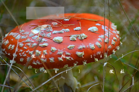微粒貸按時(shí)還款了怎么還顯示沒(méi)還-微粒貸按時(shí)還款了怎么還顯示沒(méi)還完