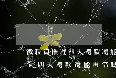 微粒貸推遲四天還款還能再借嗎-微粒貸推遲四天還款還能再借嗎