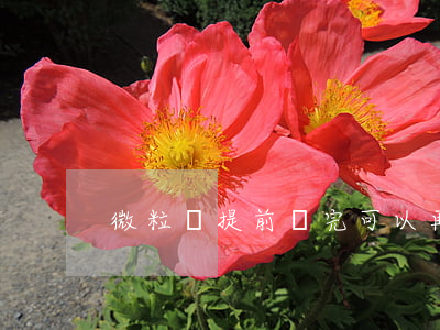 微粒貸提前還完可以再次還款嗎-