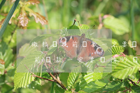 微粒貸提前還款一定要還清的嗎-微粒貸提前還款一定要還清的嗎怎么還