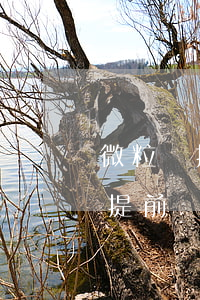 微粒貸提前還款了為什么借不了了-微粒貸提前還款了為什么借不了了呢
