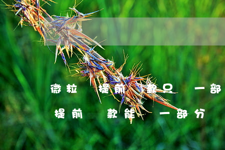 微粒貸提前還款只還一部分可以嗎-微粒貸提前還款能還一部分嗎