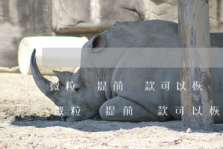 微粒貸提前還款可以恢復(fù)額度嗎-微粒貸提前還款可以恢復(fù)額度嗎安全嗎