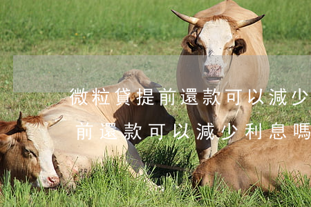 微粒貸提前還款可以減少利息嗎-微粒貸提前還款可以減少利息嗎