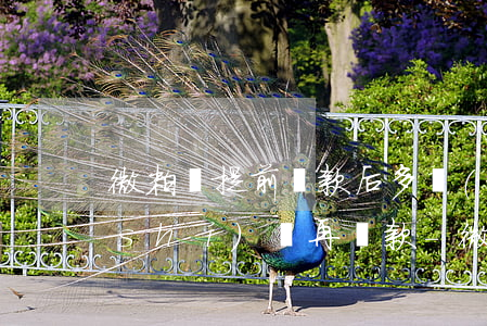 微粒貸提前還款后多長(zhǎng)時(shí)間再貸款-微粒貸提前還款后多長(zhǎng)時(shí)間再貸款合適