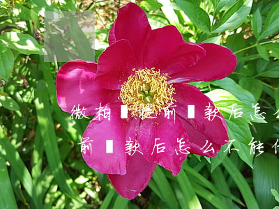 微粒貸提前還款后怎么不能借了-微粒貸提前還款后怎么不能借了呢