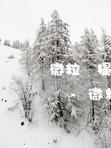 微粒貸提前還款后立即能貸出來(lái)嗎-微粒貸提前還款后立即能貸出來(lái)嗎安全嗎