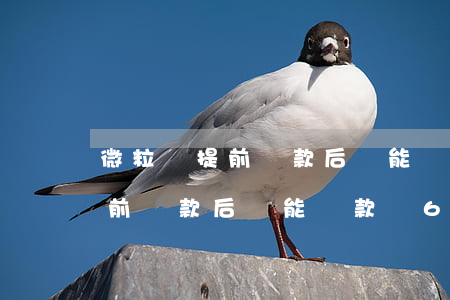 微粒貸提前還款后還能貸款嗎6-微粒貸提前還款后還能貸款嗎6萬