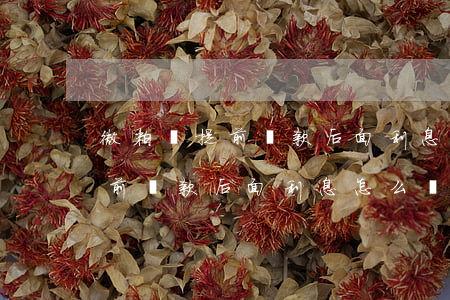微粒貸提前還款后面利息怎么還-微粒貸提前還款后面利息怎么還的