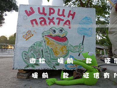 微粒貸提前還款對征信有什么影響-微粒貸提前還款對征信有什么影響嗎