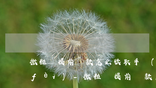 微粒貸提前還款怎么收取手續(xù)費(fèi)-微粒貸提前還款怎么收取手續(xù)費(fèi)用