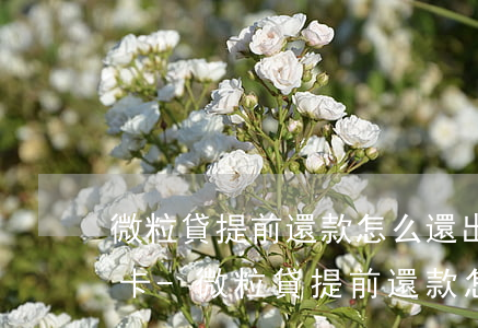 微粒貸提前還款怎么還出現(xiàn)微卡-微粒貸提前還款怎么還出現(xiàn)微卡信息