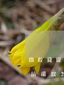 微粒貸提前還款怎么還降額度了-微粒貸提前還款怎么還降額度了呢