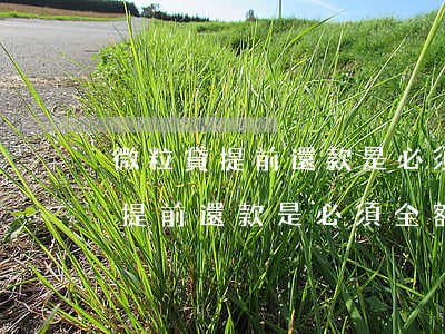 微粒貸提前還款是必須全額還款嗎-微粒貸提前還款是必須全額還款嗎