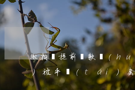 微粒貸提前還款會(huì)不會(huì)被平臺(tái)套路-微粒貸提前還款會(huì)不會(huì)被平臺(tái)套路了