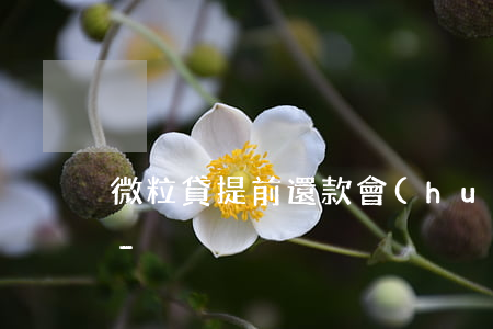 微粒貸提前還款會(huì)有額度提升嗎-