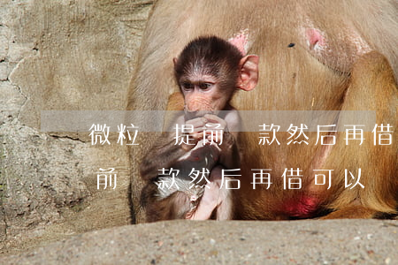 微粒貸提前還款然后再借可以嗎-微粒貸提前還款然后再借可以嗎安全嗎