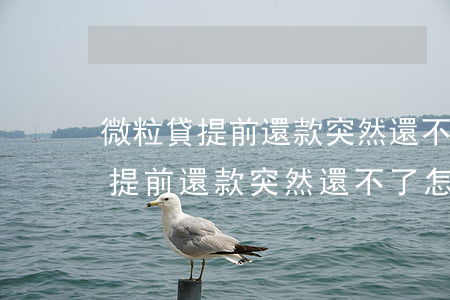 微粒貸提前還款突然還不了怎么辦-微粒貸提前還款突然還不了怎么辦呢