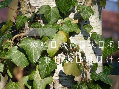 微粒貸提前還款費用為什么不減少-微粒貸提前還款費用為什么不減少呢