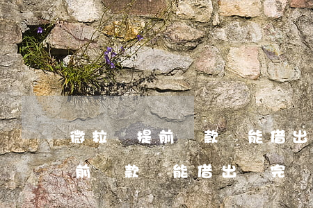 微粒貸提前還款還能借出來完嗎-微粒貸提前還款還能借出來完嗎怎么還