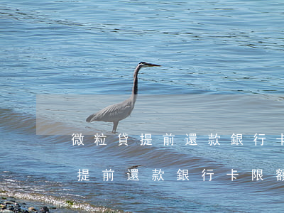 微粒貸提前還款銀行卡限額怎么還-微粒貸提前還款銀行卡限額怎么還不了